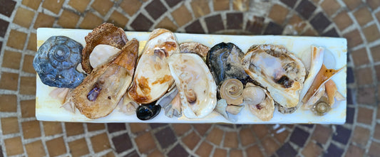 OYS Shell Collage 4x12