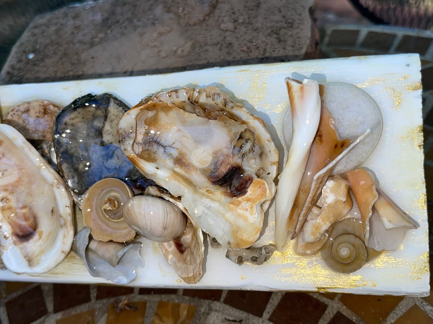 OYS Shell Collage 4x12