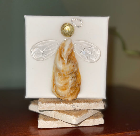 ANGEL - OYS Shell & Glass - SMALL 4X4
