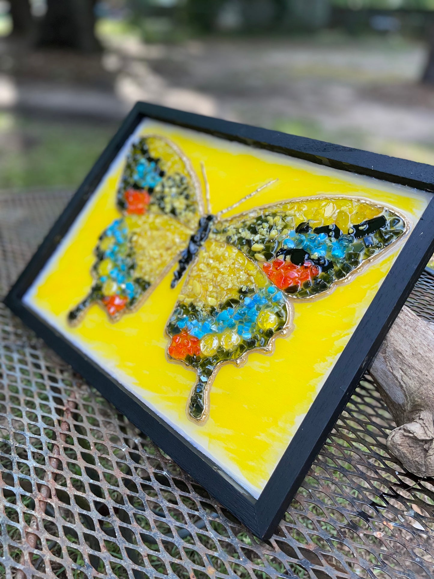 Black & Yellow Swallowtail Butterfly 12"X16"