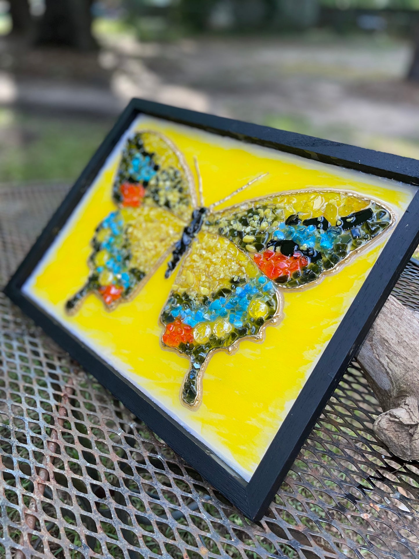 Black & Yellow Swallowtail Butterfly